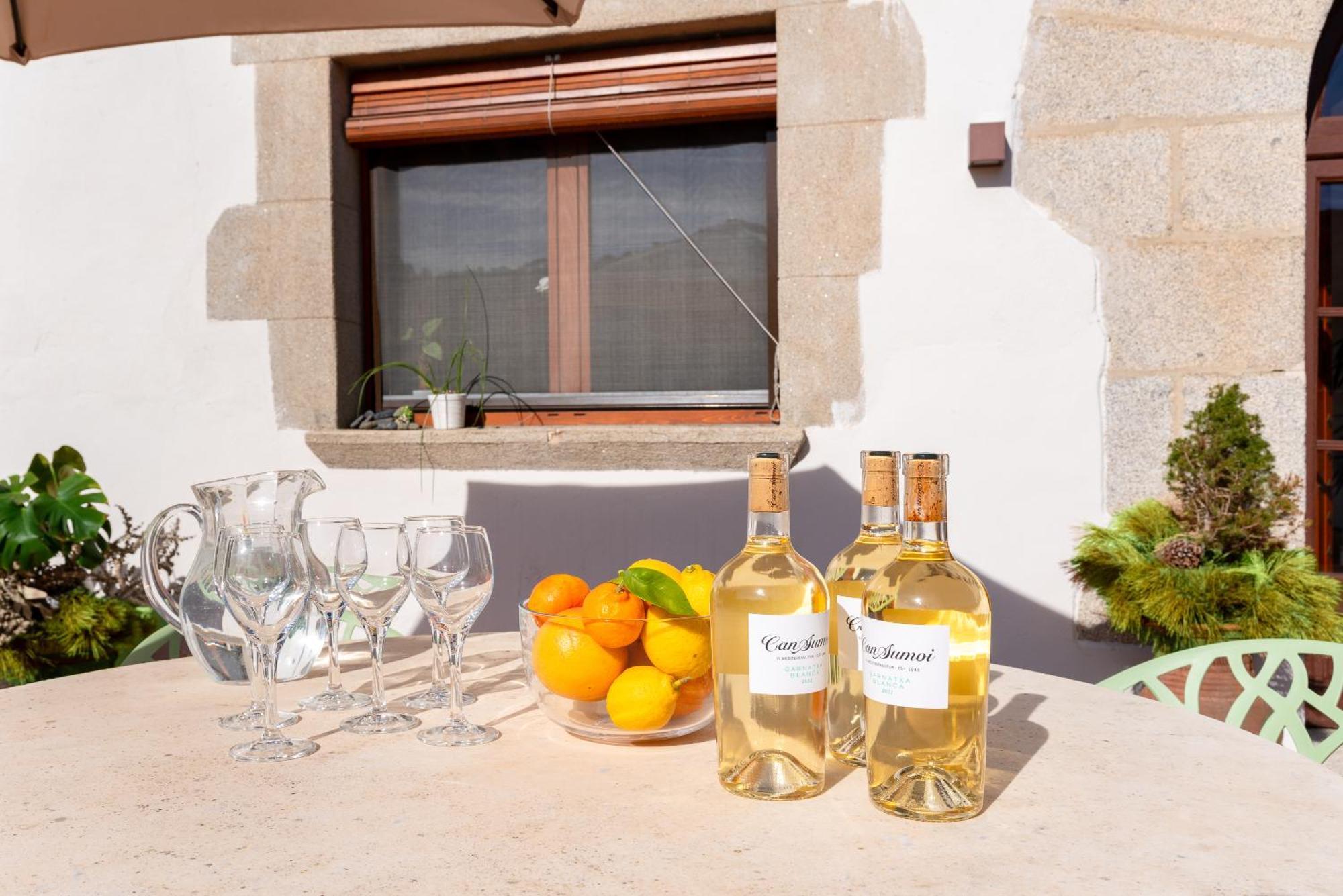 La Terraza - Grosszuegiges Appartment In Katalanischer Masia Sant Iscle De Vallalta ภายนอก รูปภาพ